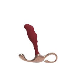 Plug Anal ZINI