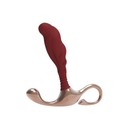 Plug Anal ZINI