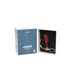 Plug Anal ZINI