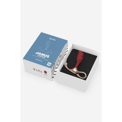 Plug Anal ZINI
