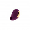 Vibrador Toy Joy Morado