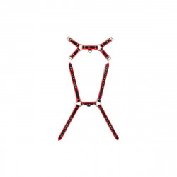 Arnés Virgite MOD. 1